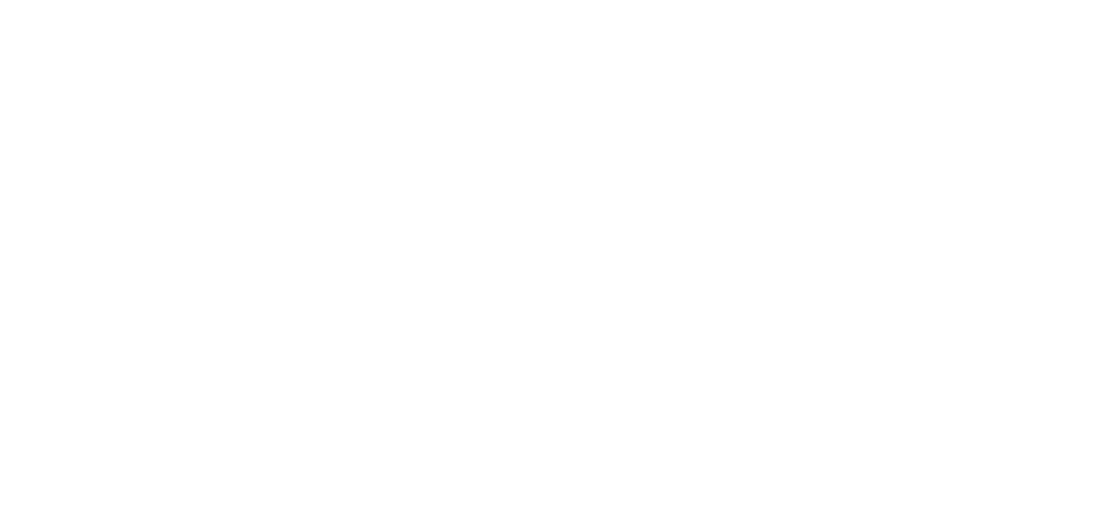 logo-2-vbzv